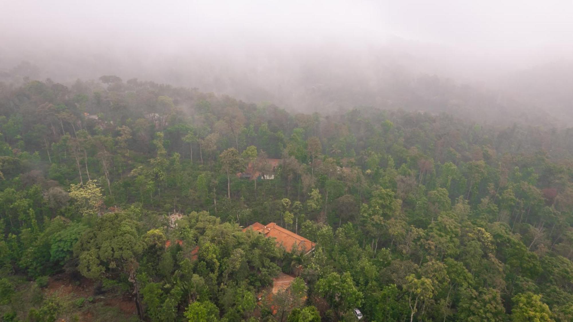 Kingmaker'S Plantation With River Stream Madikeri Exterior photo